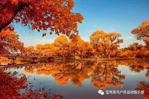 一个承诺